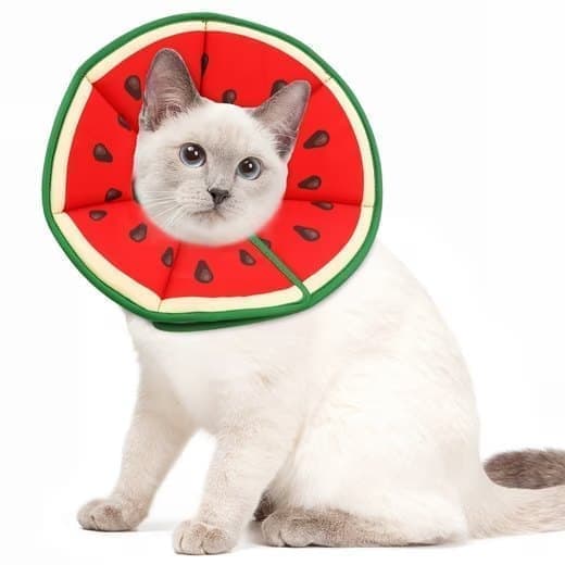 1 Protective Collar for Cats and Dogs with Velcro, Adjustable Neck Collar, Compatible with Cats, M, Red.