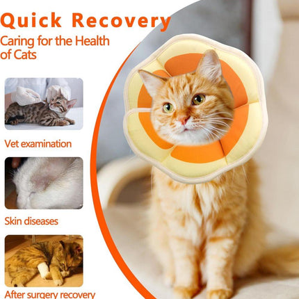 1 Adjustable Protective Collar for Cats and Dogs with Velcro, Compatible with Cats, M, Orange.