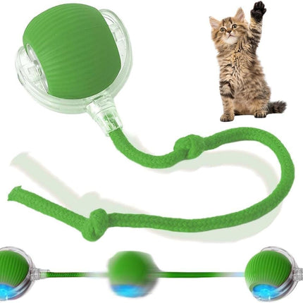 Pet Care Cartoz.