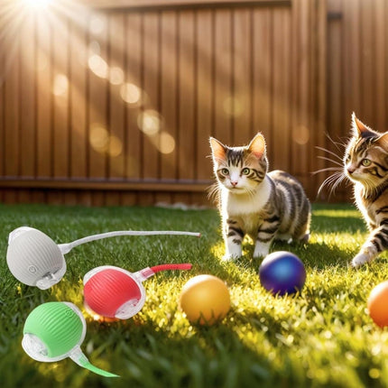 Pet Care Cartoz.