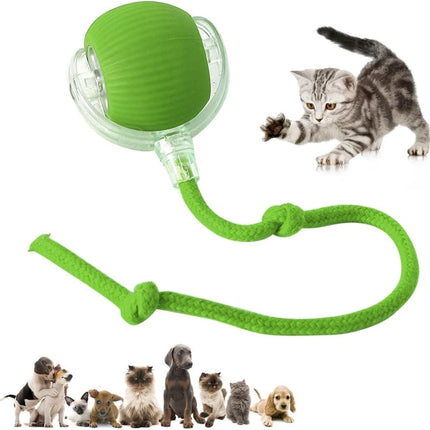 Pet Care Cartoz.