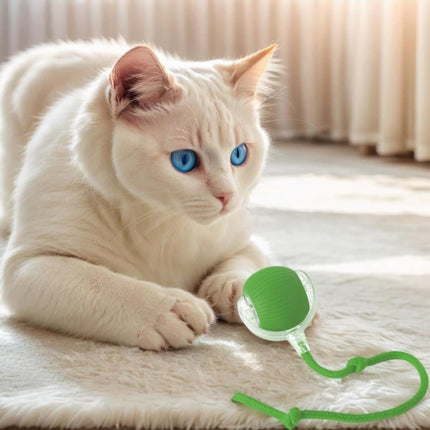 Pet Care Cartoz.