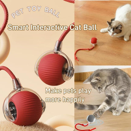 Pet Care Cartoz.