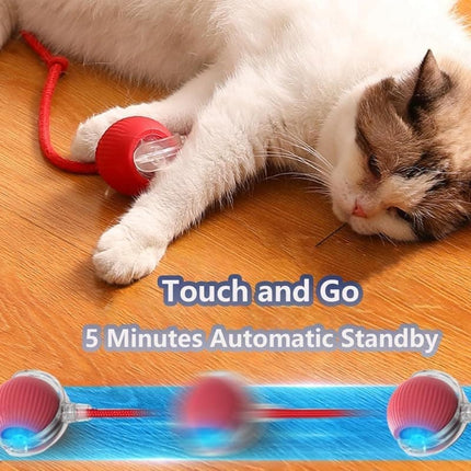 Pet Care Cartoz.