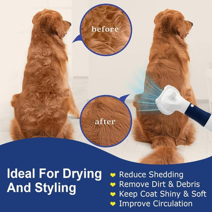 Pet Care.