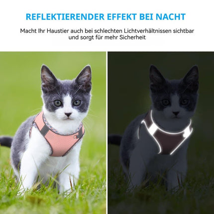 Pet Care.