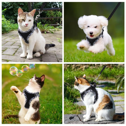 Pet Care.