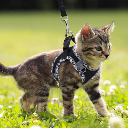 Pet Care.