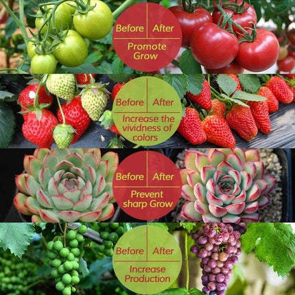 Home & Garden.