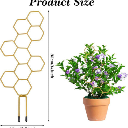Home & Garden Cartoz.