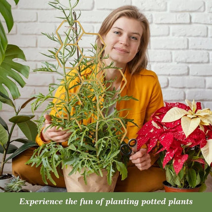 Home & Garden Cartoz.
