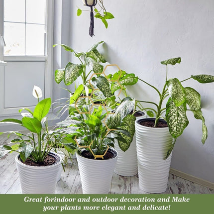 Home & Garden Cartoz.