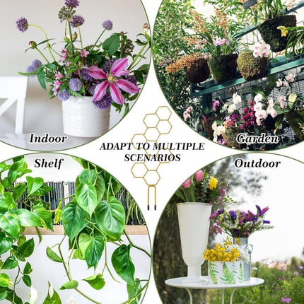 Home & Garden Cartoz.