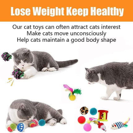 21 Piece Cat Toys for Kittens and Cats.