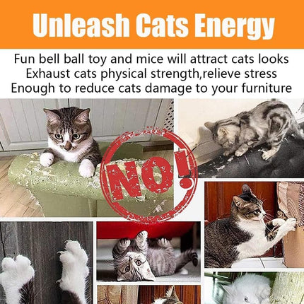 21 Piece Cat Toys for Kittens and Cats.