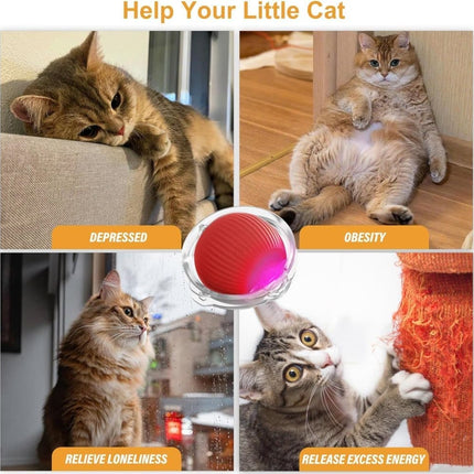 Interactive Cat Toy with Hideaway Cover and Self-Rolling Ball, USB Charging, Colorful, 1 Piece.