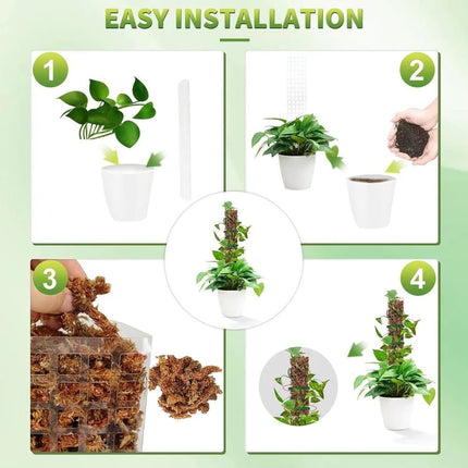 Home & Garden Cartoz.
