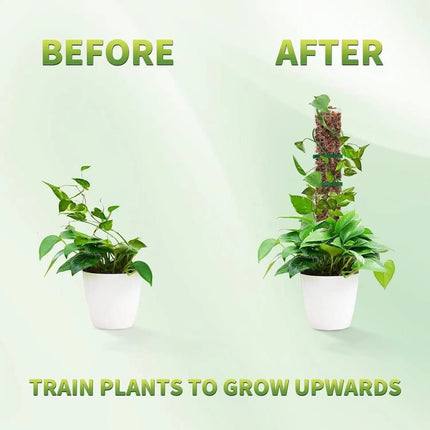 Home & Garden Cartoz.
