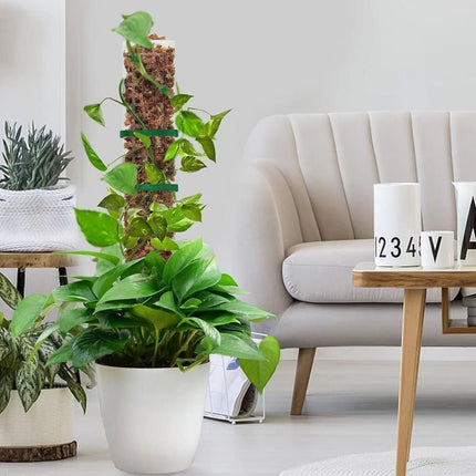 Home & Garden Cartoz.
