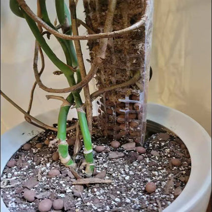 Home & Garden Cartoz.