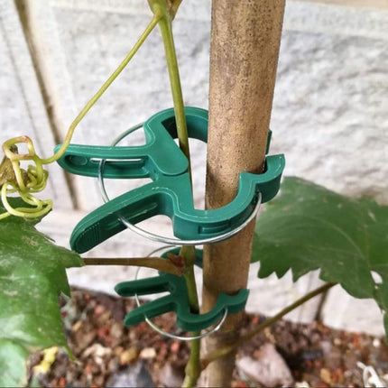 Home & Garden.