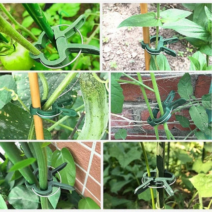 Home & Garden.