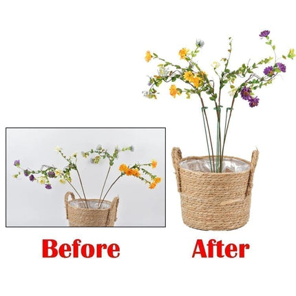 Home & Garden Cartoz.