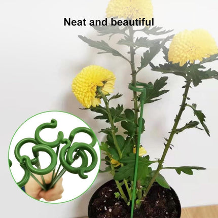 Home & Garden Cartoz.