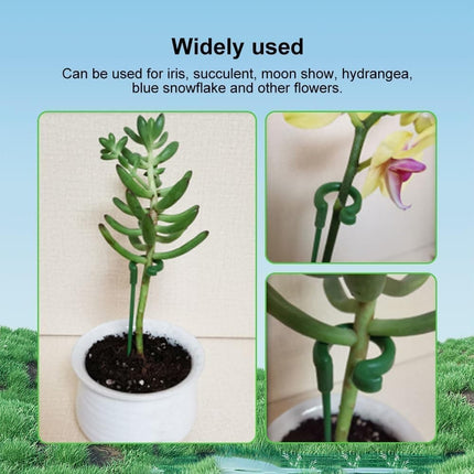 Home & Garden Cartoz.