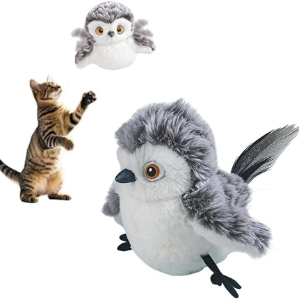 Pet Care Cartoz.