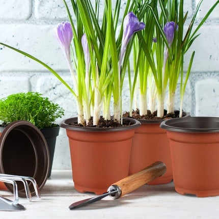 100pcs Reusable Plastic Planting Pots for Indoor and Outdoor Flower Growing, 110mm.