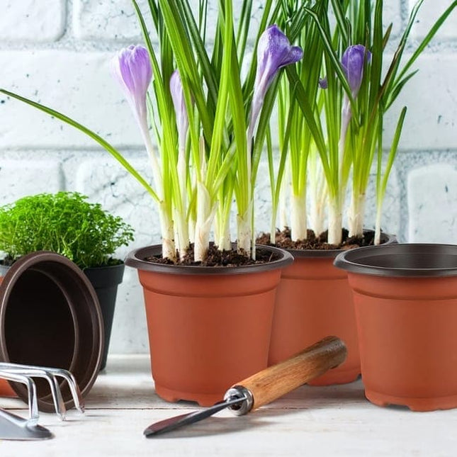 100pcs Reusable Plastic Planting Pots for Indoor and Outdoor Flower Growing, 110mm.