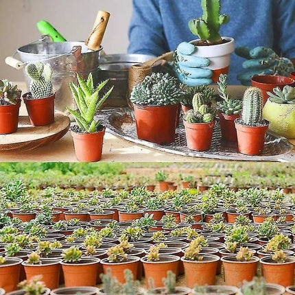 100pcs Reusable Plastic Planting Pots for Indoor and Outdoor Flower Growing, 110mm.
