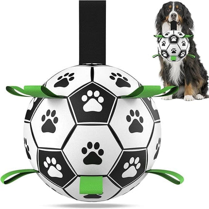 Pet Care Cartoz.