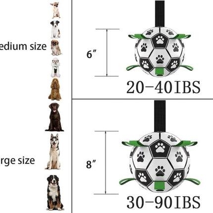 Pet Care Cartoz.