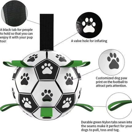 Pet Care Cartoz.