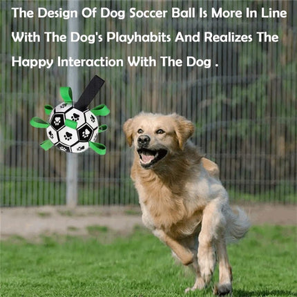 Pet Care Cartoz.