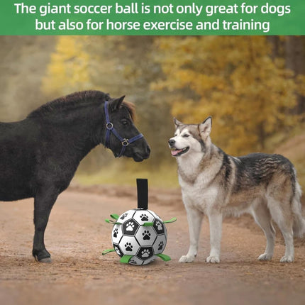 Pet Care Cartoz.