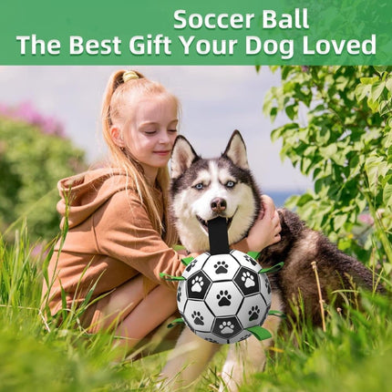 Pet Care Cartoz.