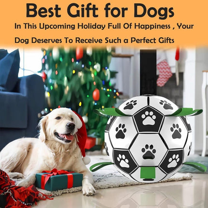 Pet Care Cartoz.