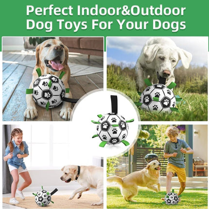 Pet Care Cartoz.