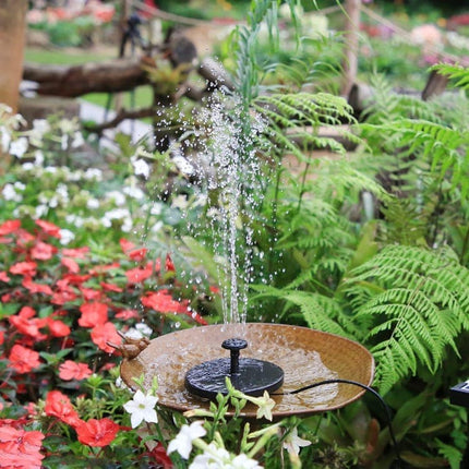 Home & Garden.