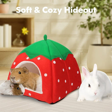 Pet Care Cartoz.