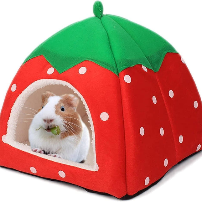Pet Care.