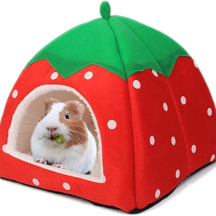 Pet Care Cartoz.