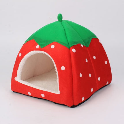 Pet Care Cartoz.