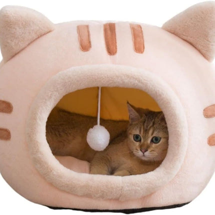 Pet Care Cartoz.