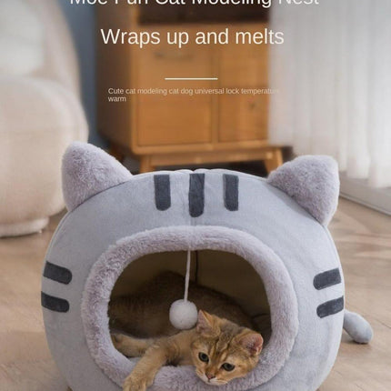 Pet Care Cartoz.