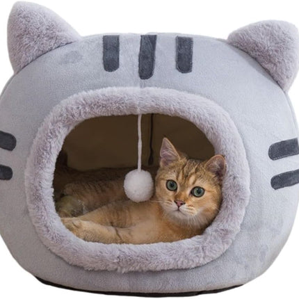Pet Care Cartoz.