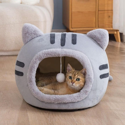 Pet Care Cartoz.